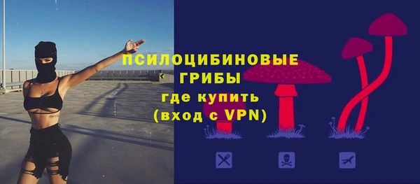 спайс Ладушкин