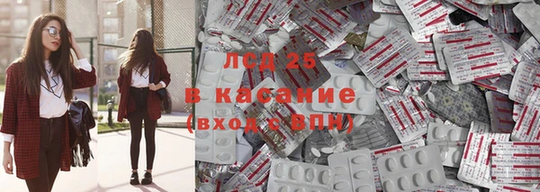спайс Ладушкин