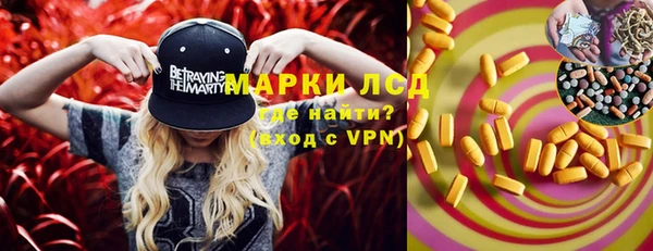 spice Лагань