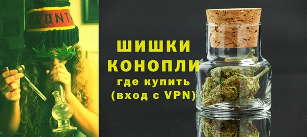 спайс Ладушкин