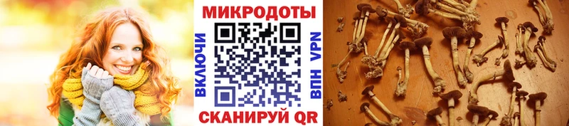 Псилоцибиновые грибы мухоморы  Мосальск 